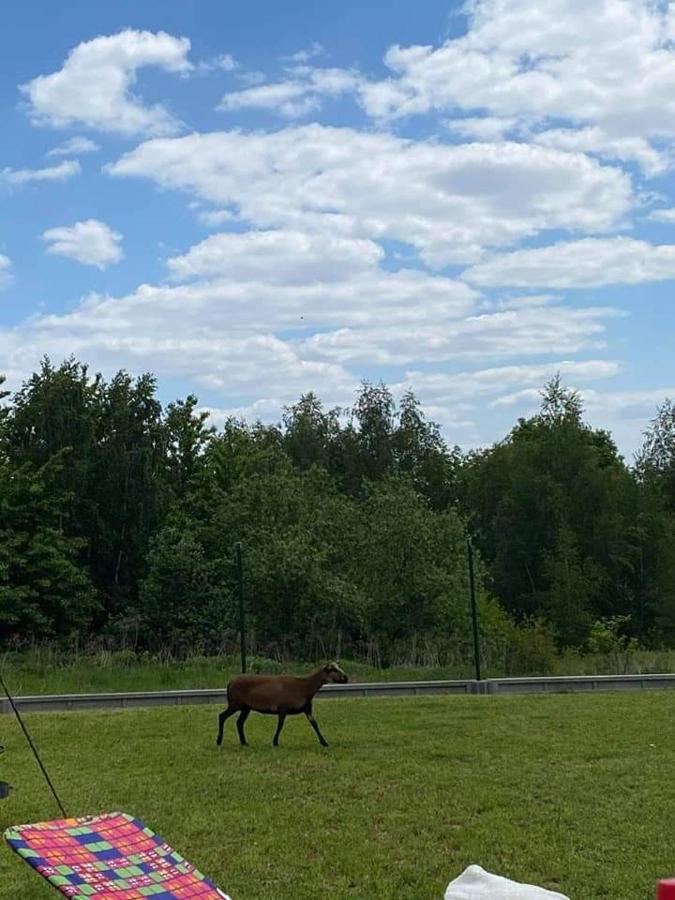 Gosp. Agroturystyczne Stary Gaj Villa Zerkowice Luaran gambar