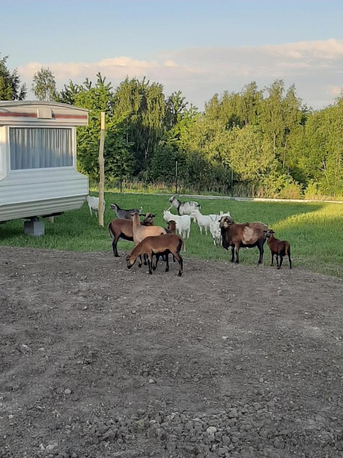Gosp. Agroturystyczne Stary Gaj Villa Zerkowice Luaran gambar