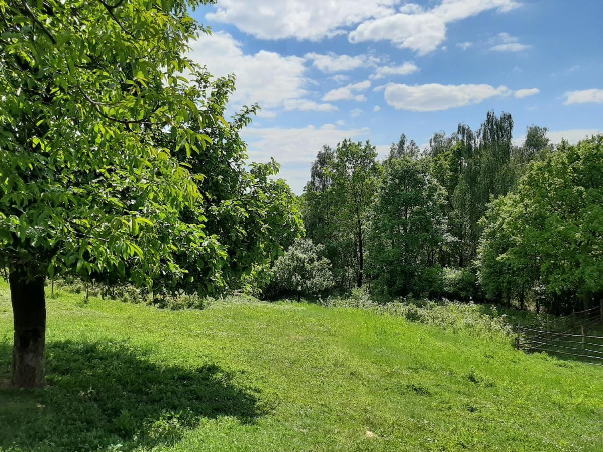 Gosp. Agroturystyczne Stary Gaj Villa Zerkowice Luaran gambar