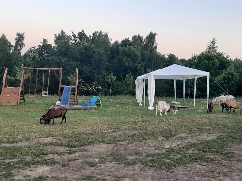 Gosp. Agroturystyczne Stary Gaj Villa Zerkowice Luaran gambar